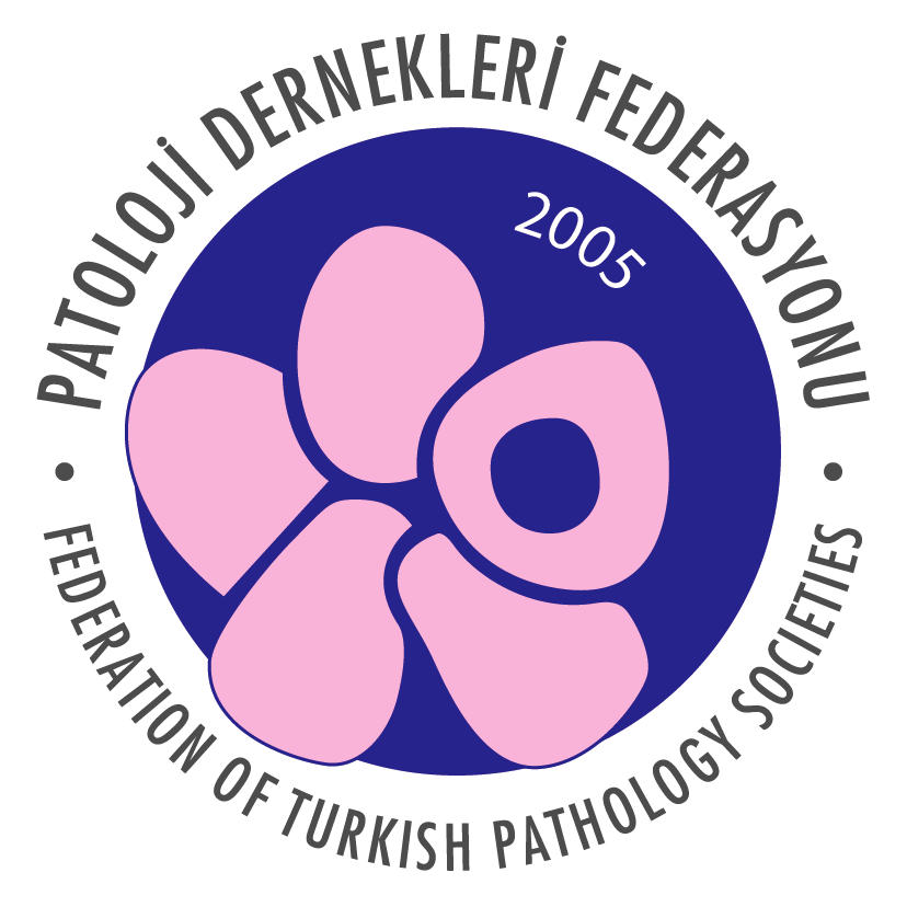 Yayıncı