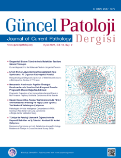 Cilt 10 · Sayı 2